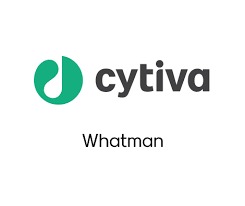 IMG-20250709-WA0029 - Copy